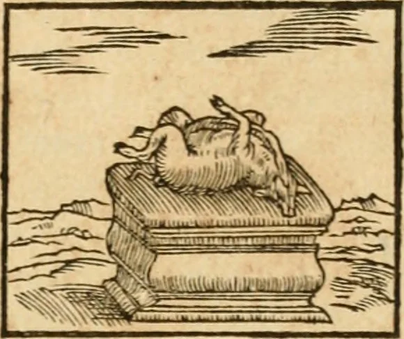 An illustration from Hieroglyphica, sive, De sacris Aegyptiorvm aliarvmqve gentivm literis commentarij, 1575, leaf 146