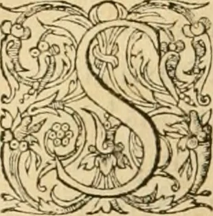 An illustration from Hieroglyphica, sive, De sacris Aegyptiorvm aliarvmqve gentivm literis commentarij, 1575, leaf 163