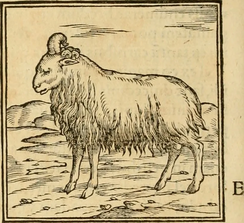 An illustration from Hieroglyphica, sive, De sacris Aegyptiorvm aliarvmqve gentivm literis commentarij, 1575, leaf 163