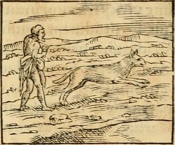 An illustration from Hieroglyphica, sive, De sacris Aegyptiorvm aliarvmqve gentivm literis commentarij, 1575, leaf 169