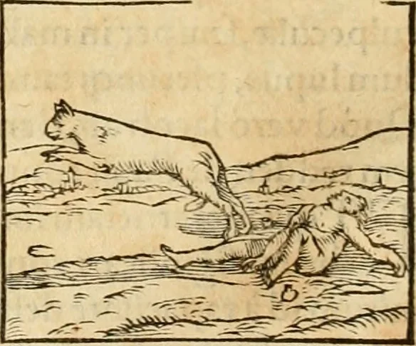 An illustration from Hieroglyphica, sive, De sacris Aegyptiorvm aliarvmqve gentivm literis commentarij, 1575, leaf 169