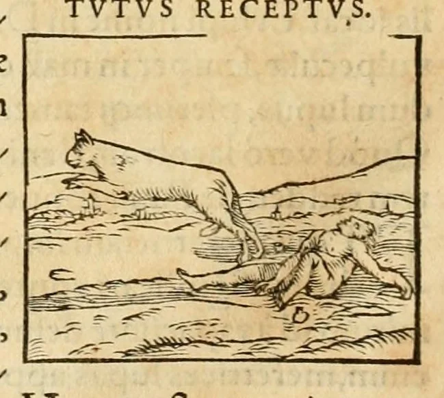 An illustration from Hieroglyphica, sive, De sacris Aegyptiorvm aliarvmqve gentivm literis commentarij, 1575, leaf 170