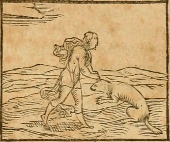 An illustration from Hieroglyphica, sive, De sacris Aegyptiorvm aliarvmqve gentivm literis commentarij, 1575, leaf 171