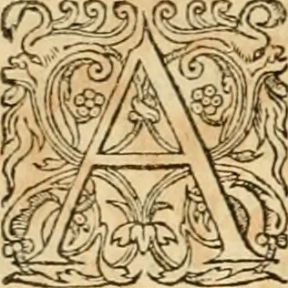 An illustration from Hieroglyphica, sive, De sacris Aegyptiorvm aliarvmqve gentivm literis commentarij, 1575, leaf 177