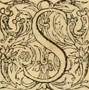 An illustration from Hieroglyphica, sive, De sacris Aegyptiorvm aliarvmqve gentivm literis commentarij, 1575, leaf 179