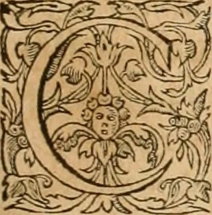 An illustration from Hieroglyphica, sive, De sacris Aegyptiorvm aliarvmqve gentivm literis commentarij, 1575, leaf 182