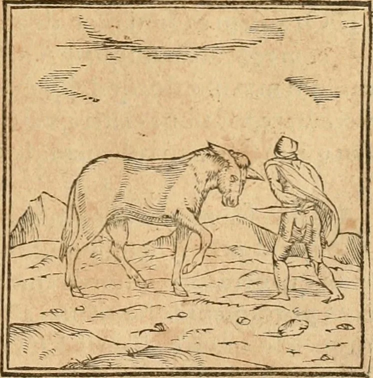 An illustration from Hieroglyphica, sive, De sacris Aegyptiorvm aliarvmqve gentivm literis commentarij, 1575, leaf 184