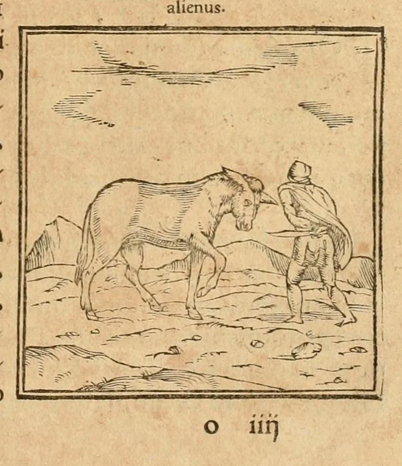 An illustration from Hieroglyphica, sive, De sacris Aegyptiorvm aliarvmqve gentivm literis commentarij, 1575, leaf 185