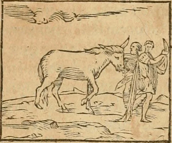 An illustration from Hieroglyphica, sive, De sacris Aegyptiorvm aliarvmqve gentivm literis commentarij, 1575, leaf 186