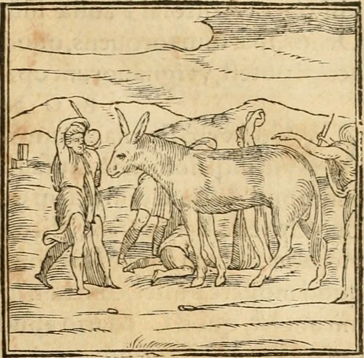 An illustration from Hieroglyphica, sive, De sacris Aegyptiorvm aliarvmqve gentivm literis commentarij, 1575, leaf 188