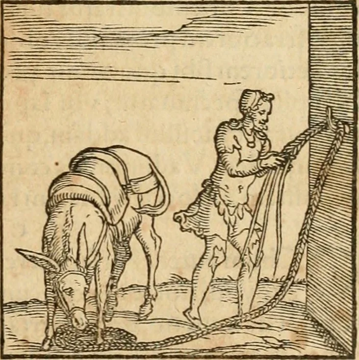 An illustration from Hieroglyphica, sive, De sacris Aegyptiorvm aliarvmqve gentivm literis commentarij, 1575, leaf 188