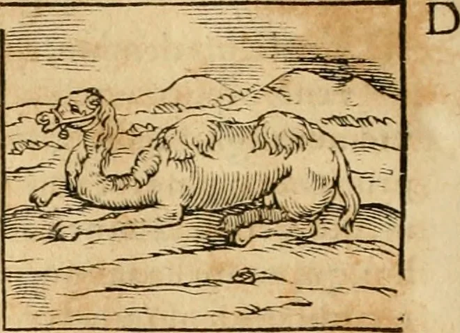 An illustration from Hieroglyphica, sive, De sacris Aegyptiorvm aliarvmqve gentivm literis commentarij, 1575, leaf 195