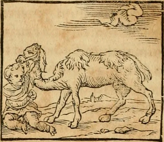 An illustration from Hieroglyphica, sive, De sacris Aegyptiorvm aliarvmqve gentivm literis commentarij, 1575, leaf 197