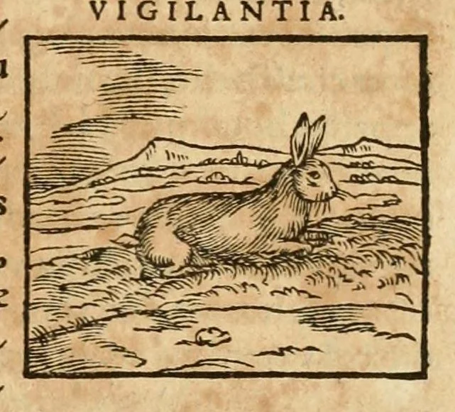An illustration from Hieroglyphica, sive, De sacris Aegyptiorvm aliarvmqve gentivm literis commentarij, 1575, leaf 199
