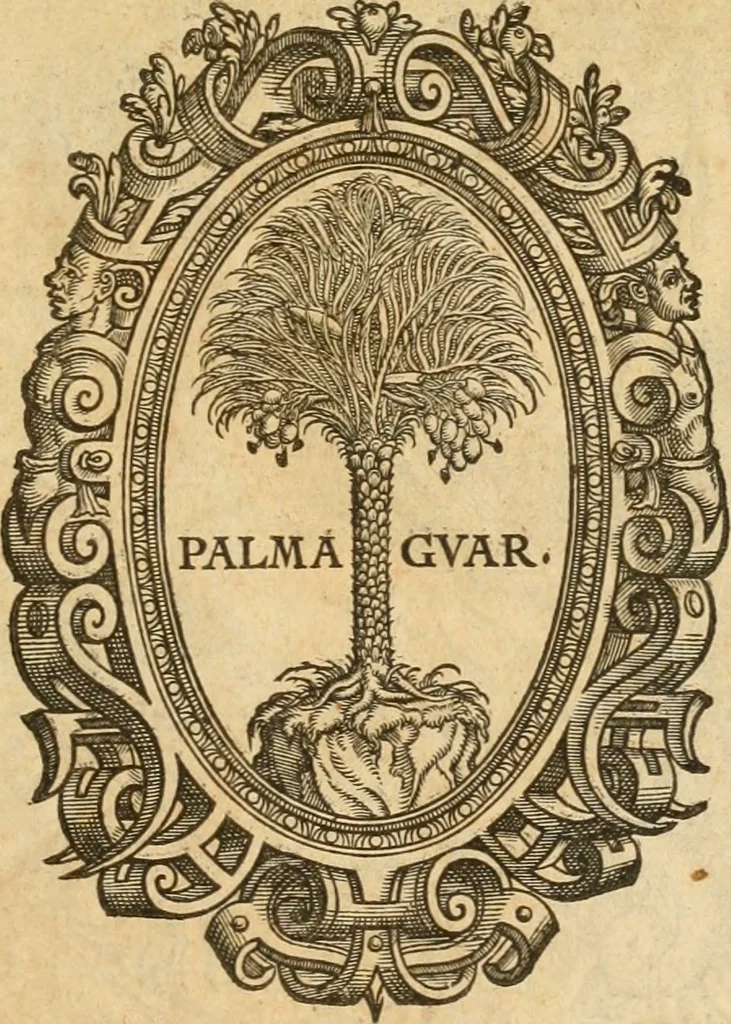 An illustration from Hieroglyphica, sive, De sacris Aegyptiorvm aliarvmqve gentivm literis commentarij, 1575, leaf 2