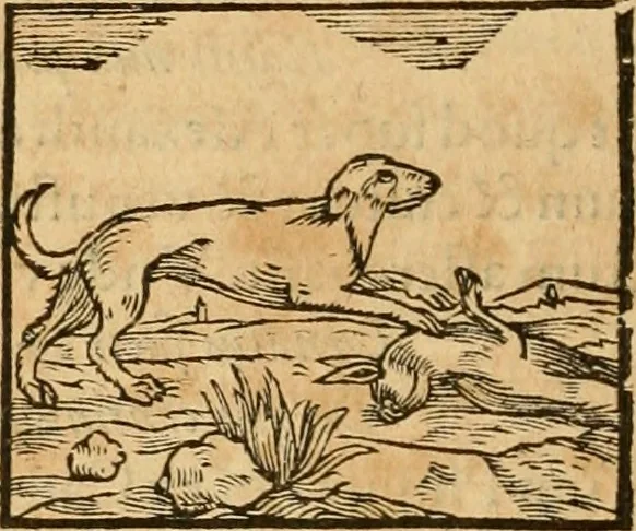 An illustration from Hieroglyphica, sive, De sacris Aegyptiorvm aliarvmqve gentivm literis commentarij, 1575, leaf 201