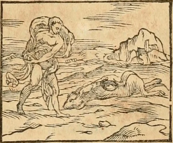 An illustration from Hieroglyphica, sive, De sacris Aegyptiorvm aliarvmqve gentivm literis commentarij, 1575, leaf 206