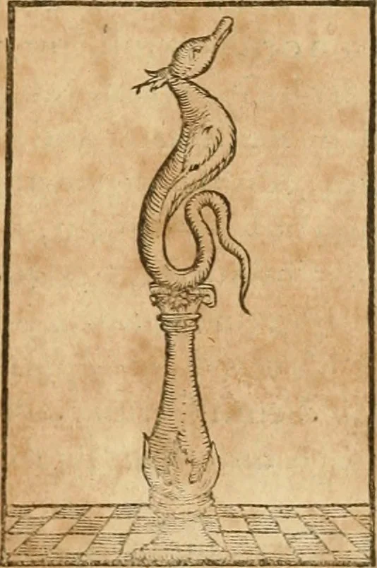 An illustration from Hieroglyphica, sive, De sacris Aegyptiorvm aliarvmqve gentivm literis commentarij, 1575, leaf 218