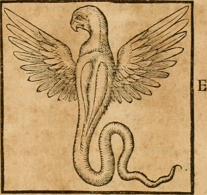 An illustration from Hieroglyphica, sive, De sacris Aegyptiorvm aliarvmqve gentivm literis commentarij, 1575, leaf 219