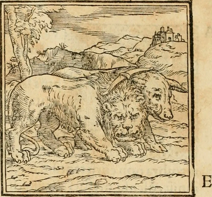 An illustration from Hieroglyphica, sive, De sacris Aegyptiorvm aliarvmqve gentivm literis commentarij, 1575, leaf 23