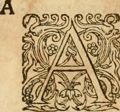An illustration from Hieroglyphica, sive, De sacris Aegyptiorvm aliarvmqve gentivm literis commentarij, 1575, leaf 242