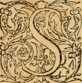 An illustration from Hieroglyphica, sive, De sacris Aegyptiorvm aliarvmqve gentivm literis commentarij, 1575, leaf 247