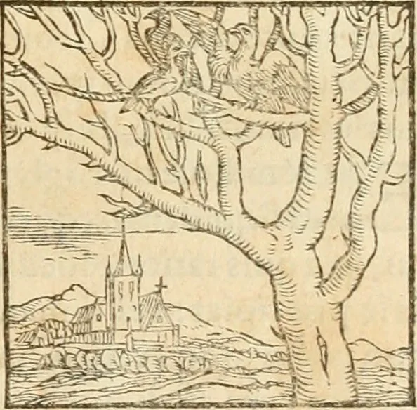 An illustration from Hieroglyphica, sive, De sacris Aegyptiorvm aliarvmqve gentivm literis commentarij, 1575, leaf 258