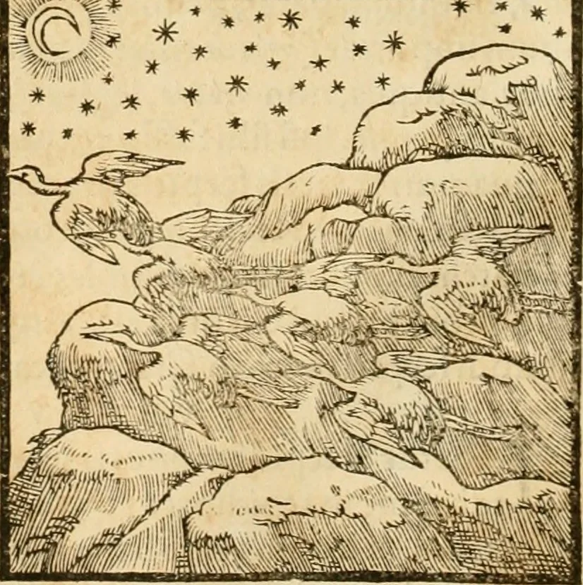 An illustration from Hieroglyphica, sive, De sacris Aegyptiorvm aliarvmqve gentivm literis commentarij, 1575, leaf 259