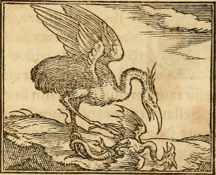 An illustration from Hieroglyphica, sive, De sacris Aegyptiorvm aliarvmqve gentivm literis commentarij, 1575, leaf 263
