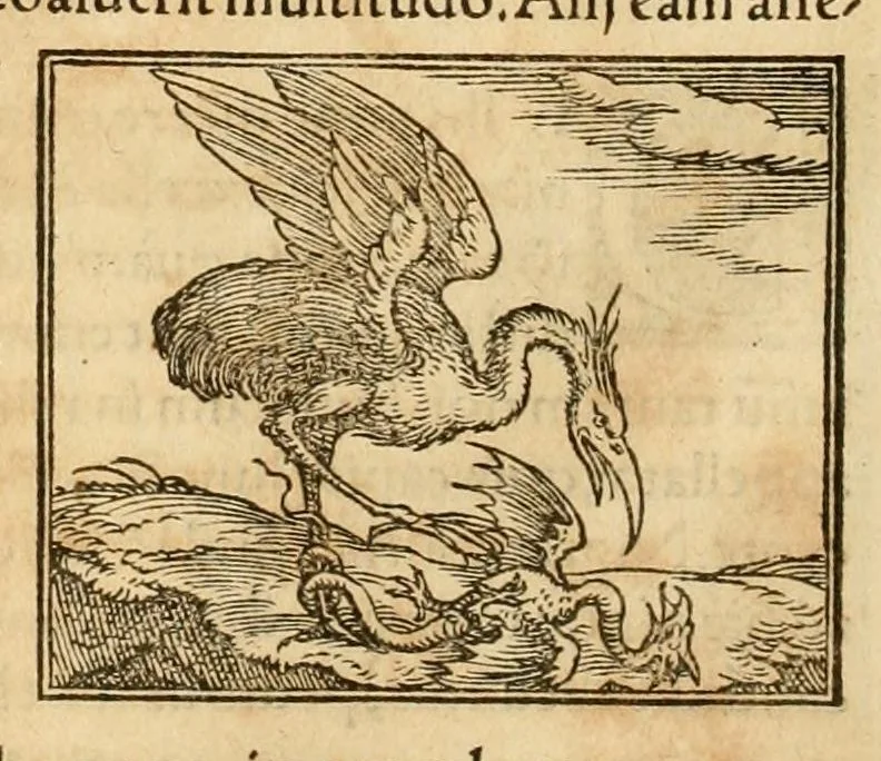 An illustration from Hieroglyphica, sive, De sacris Aegyptiorvm aliarvmqve gentivm literis commentarij, 1575, leaf 264