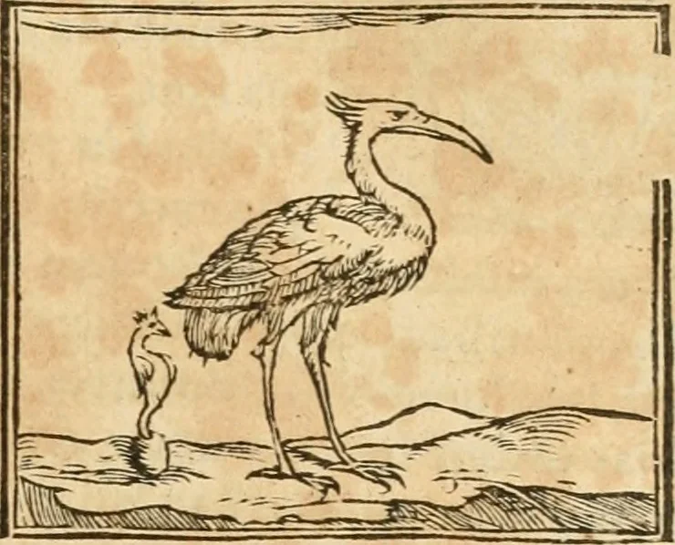 An illustration from Hieroglyphica, sive, De sacris Aegyptiorvm aliarvmqve gentivm literis commentarij, 1575, leaf 264