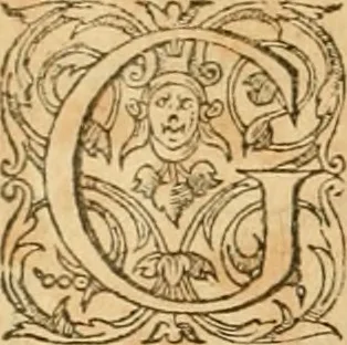 An illustration from Hieroglyphica, sive, De sacris Aegyptiorvm aliarvmqve gentivm literis commentarij, 1575, leaf 265