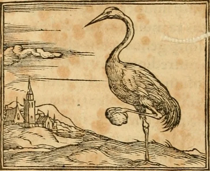 An illustration from Hieroglyphica, sive, De sacris Aegyptiorvm aliarvmqve gentivm literis commentarij, 1575, leaf 265