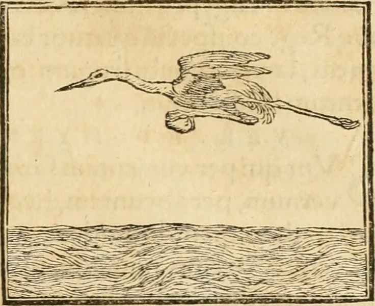 An illustration from Hieroglyphica, sive, De sacris Aegyptiorvm aliarvmqve gentivm literis commentarij, 1575, leaf 266