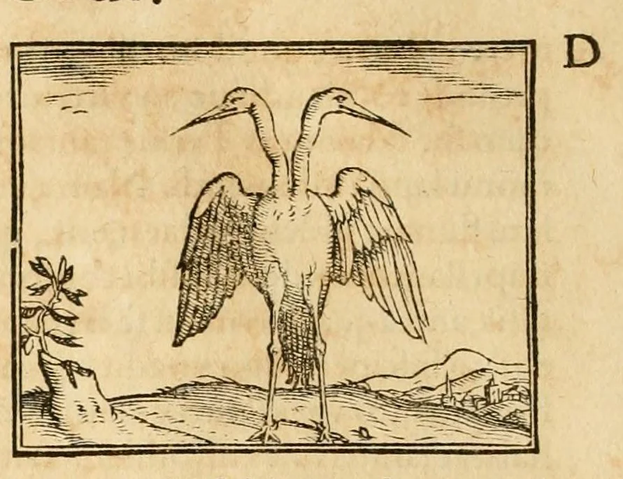 An illustration from Hieroglyphica, sive, De sacris Aegyptiorvm aliarvmqve gentivm literis commentarij, 1575, leaf 268