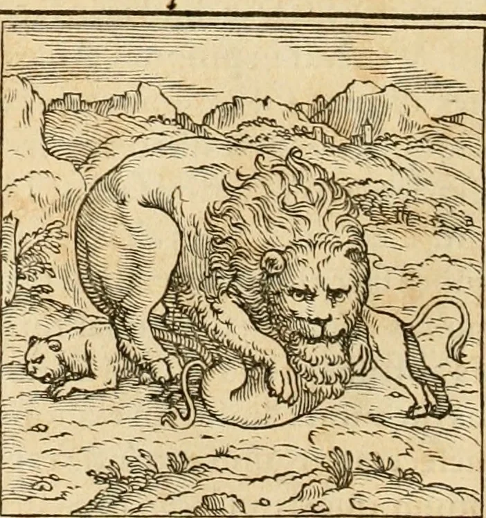 An illustration from Hieroglyphica, sive, De sacris Aegyptiorvm aliarvmqve gentivm literis commentarij, 1575, leaf 27