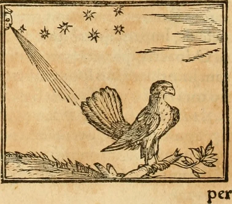 An illustration from Hieroglyphica, sive, De sacris Aegyptiorvm aliarvmqve gentivm literis commentarij, 1575, leaf 271
