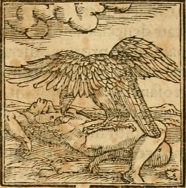 An illustration from Hieroglyphica, sive, De sacris Aegyptiorvm aliarvmqve gentivm literis commentarij, 1575, leaf 275