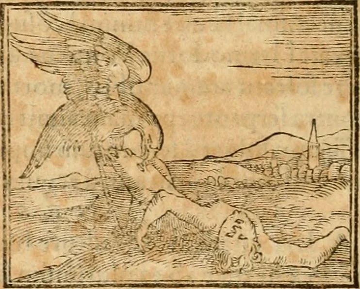 An illustration from Hieroglyphica, sive, De sacris Aegyptiorvm aliarvmqve gentivm literis commentarij, 1575, leaf 275