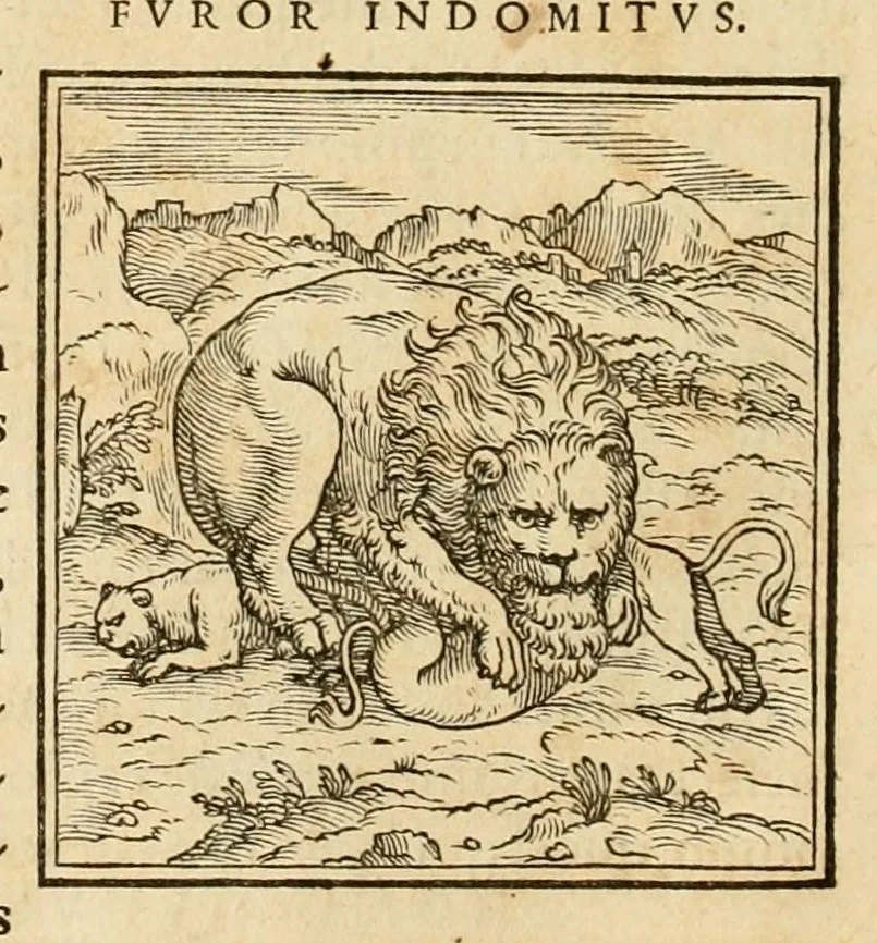 An illustration from Hieroglyphica, sive, De sacris Aegyptiorvm aliarvmqve gentivm literis commentarij, 1575, leaf 28