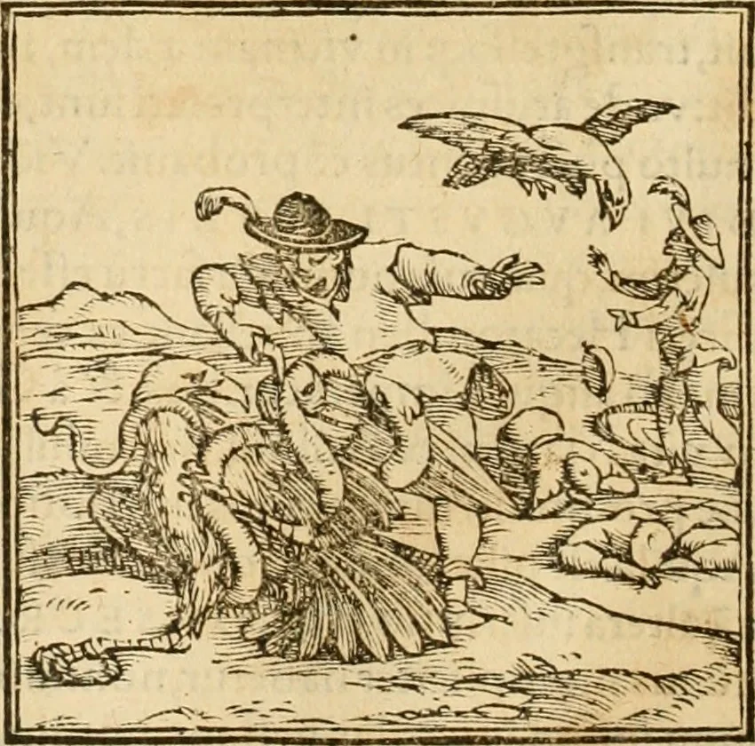 An illustration from Hieroglyphica, sive, De sacris Aegyptiorvm aliarvmqve gentivm literis commentarij, 1575, leaf 287