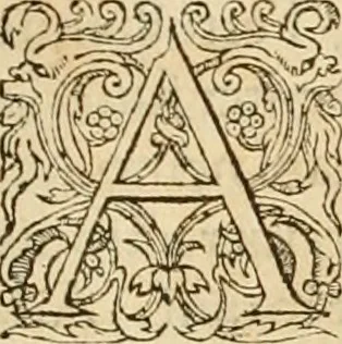 An illustration from Hieroglyphica, sive, De sacris Aegyptiorvm aliarvmqve gentivm literis commentarij, 1575, leaf 296