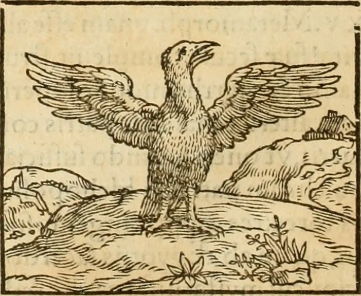 An illustration from Hieroglyphica, sive, De sacris Aegyptiorvm aliarvmqve gentivm literis commentarij, 1575, leaf 297