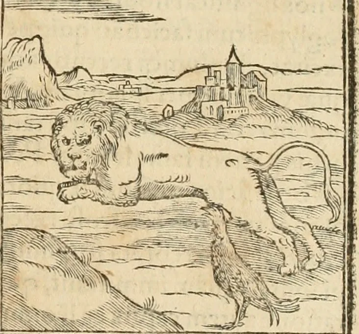 An illustration from Hieroglyphica, sive, De sacris Aegyptiorvm aliarvmqve gentivm literis commentarij, 1575, leaf 30