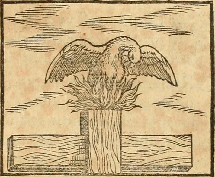 An illustration from Hieroglyphica, sive, De sacris Aegyptiorvm aliarvmqve gentivm literis commentarij, 1575, leaf 300