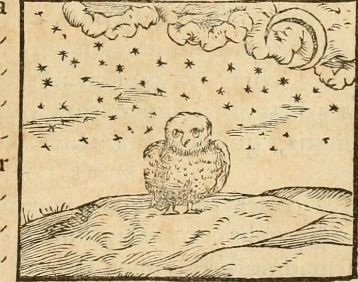 An illustration from Hieroglyphica, sive, De sacris Aegyptiorvm aliarvmqve gentivm literis commentarij, 1575, leaf 304