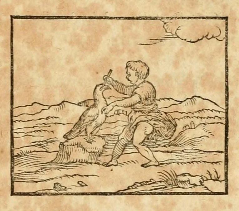 An illustration from Hieroglyphica, sive, De sacris Aegyptiorvm aliarvmqve gentivm literis commentarij, 1575, leaf 309