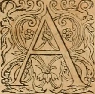 An illustration from Hieroglyphica, sive, De sacris Aegyptiorvm aliarvmqve gentivm literis commentarij, 1575, leaf 310