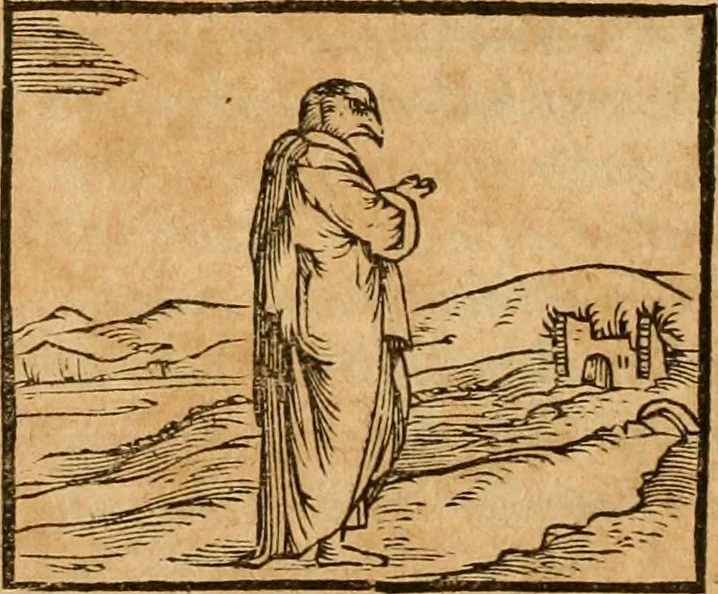 An illustration from Hieroglyphica, sive, De sacris Aegyptiorvm aliarvmqve gentivm literis commentarij, 1575, leaf 311