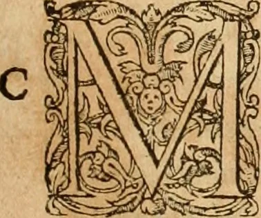 An illustration from Hieroglyphica, sive, De sacris Aegyptiorvm aliarvmqve gentivm literis commentarij, 1575, leaf 320